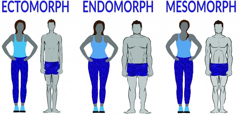 Эндоморф, как противоположность эктоморфу: внешние признаки, тренировка, питание